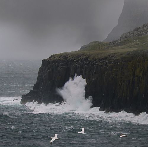 seagulls flying over the ocean and crashing waves near a rocky cliff on an overcast day