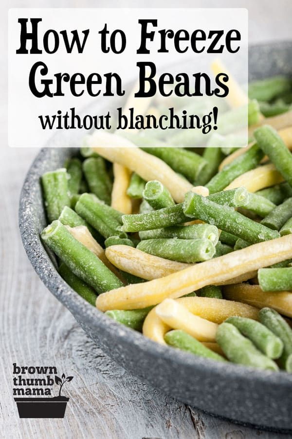 green beans in a bowl with text overlay that reads easy way to freeze green beans