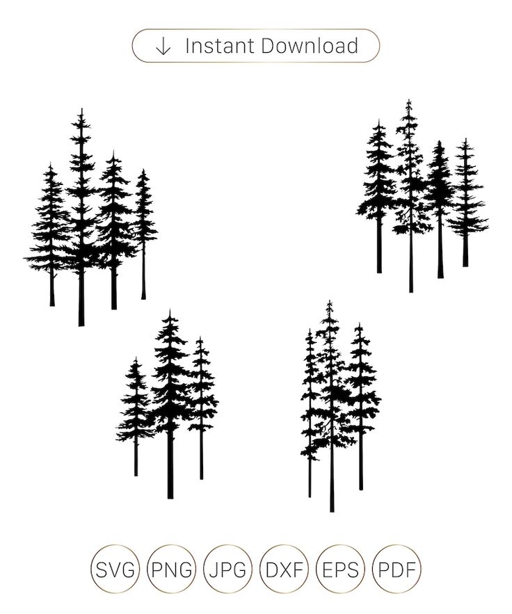 the silhouettes of pine trees are shown in black and white, with different sizes