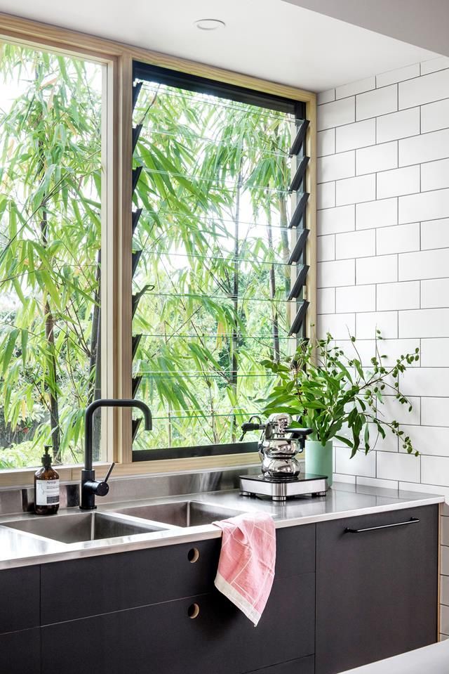 a kitchen with a sink, window and potted plant in the corner next to it