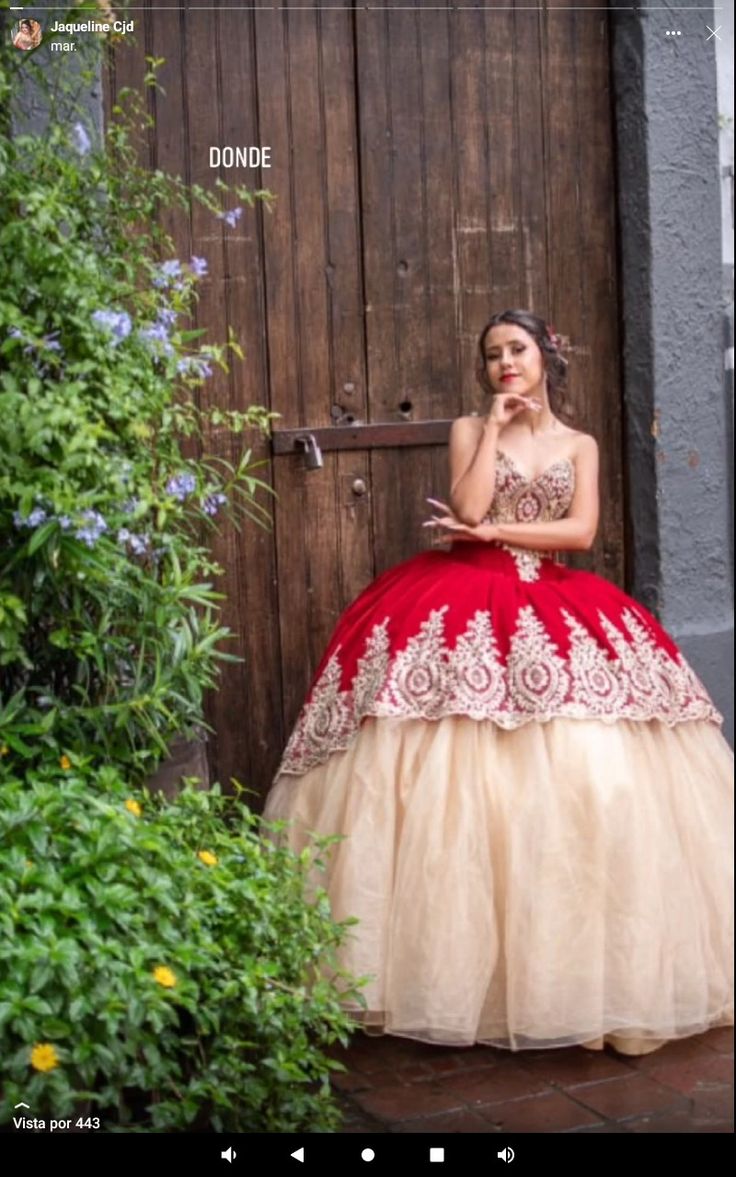 hermoso vestido de xv con dos colores que lo hacen ver hermoso,espero y les sirva y les de una idea para su vestido de xv para ese dia tan especial. Ball Gowns, Formal Dresses