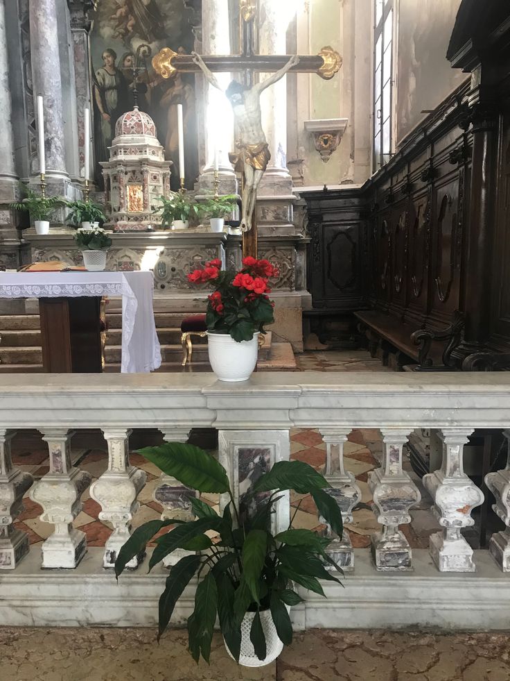 a potted plant sitting on top of a table in front of a church alter