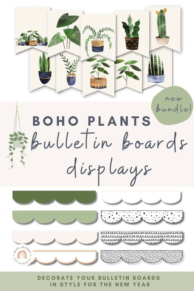 the boho plants bulletin board displays different types of houseplants and succulents