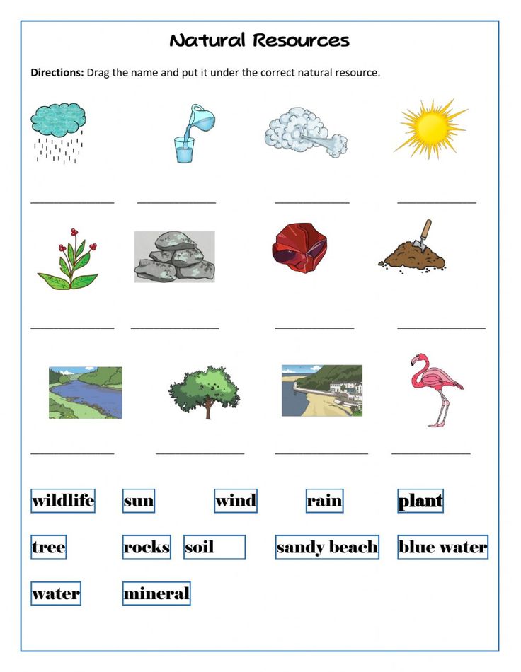 a worksheet with pictures and words on it