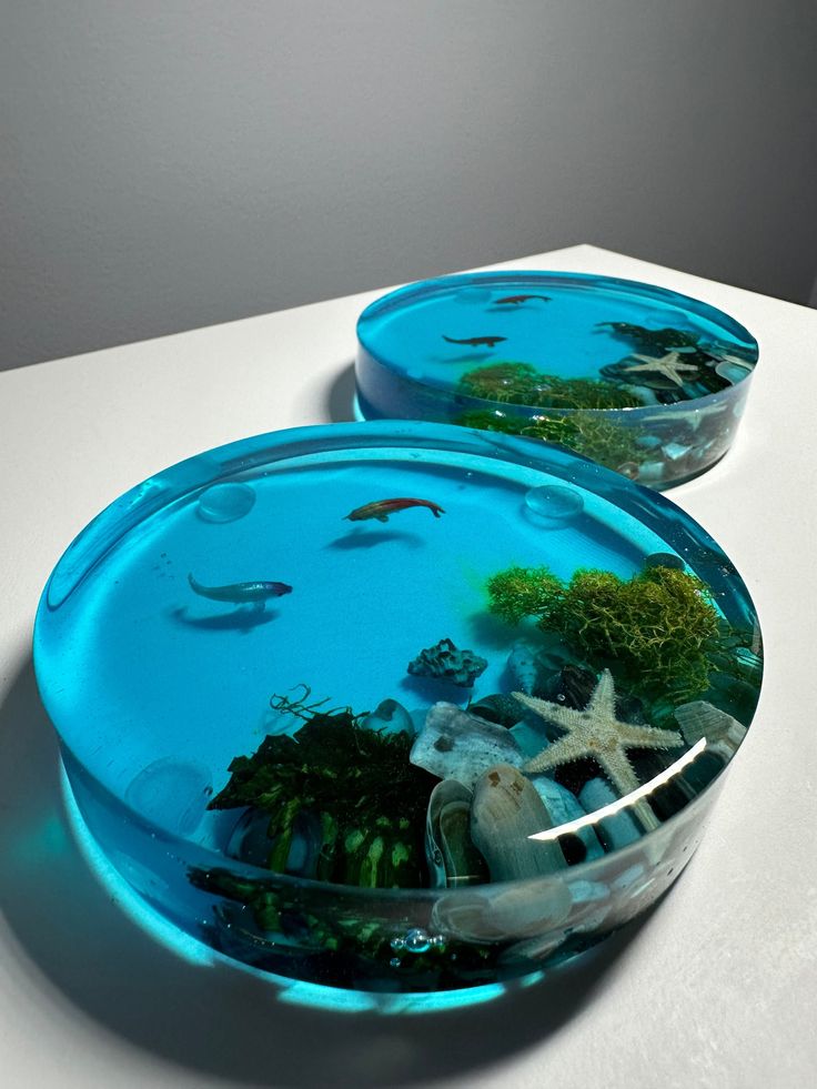 two glass bowls filled with different types of plants and fish in them on a white surface