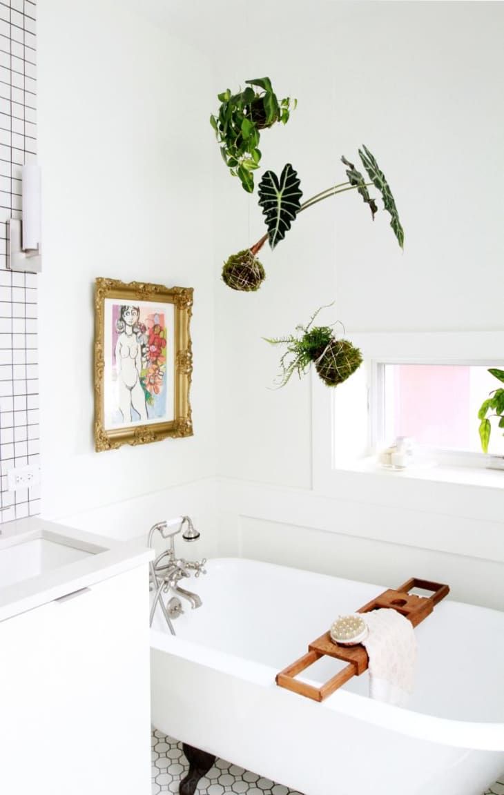 a white bath tub sitting next to a bathroom sink under a window with potted plants hanging from the ceiling