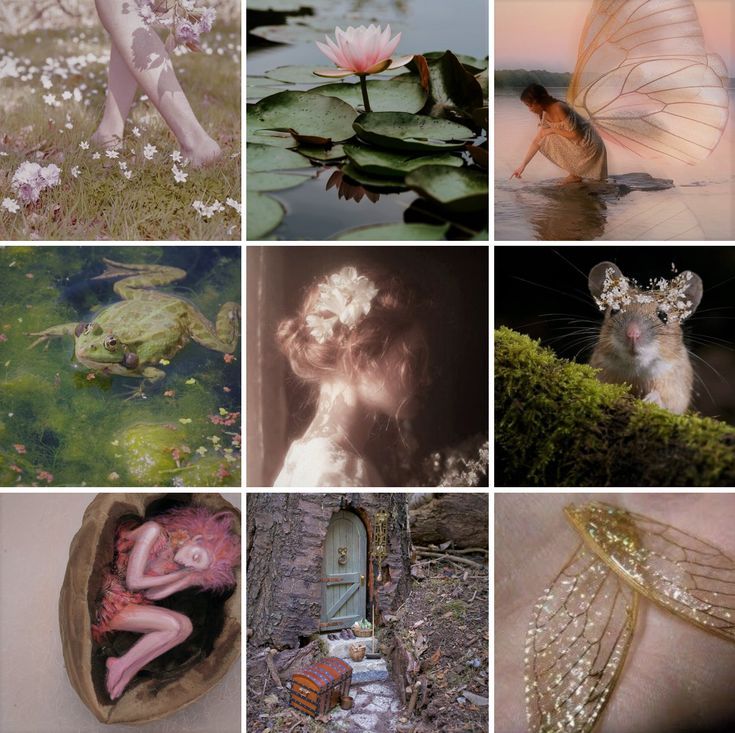 many different pictures are shown in this collage with animals and flowers, including water lilies