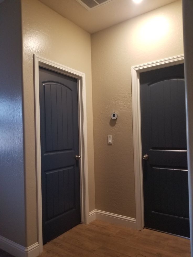 an empty room with two black doors and a light on the ceiling above it is a wood floor