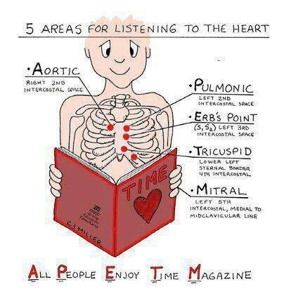 an image of a skeleton reading a book with the caption, 5 areas for listening to the heart