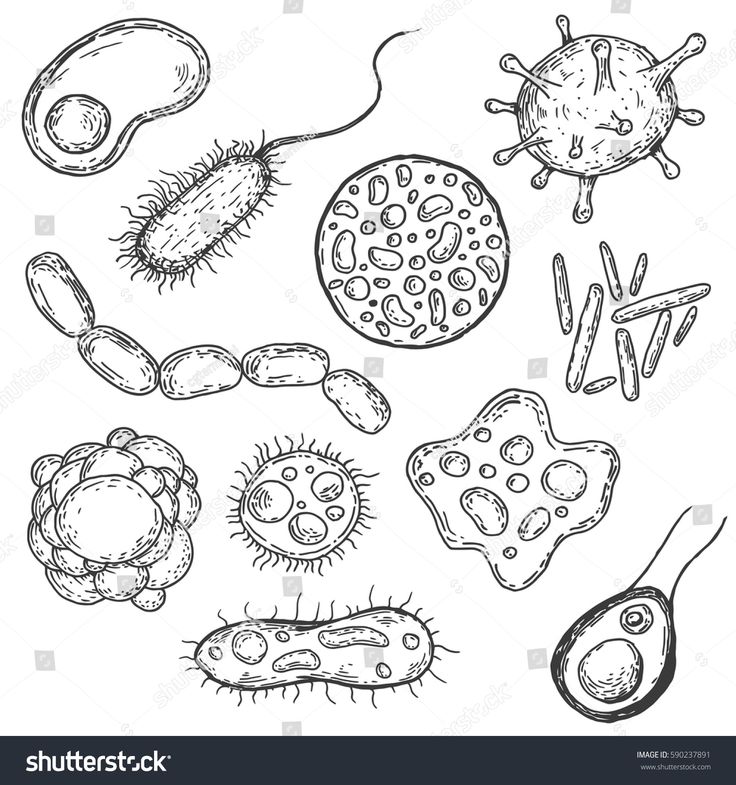 hand drawn illustration of different types of germs and other things in black and white