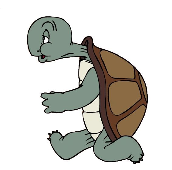 an image of a turtle that is running