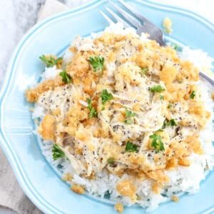 a blue plate topped with rice covered in gravy and garnished with parsley