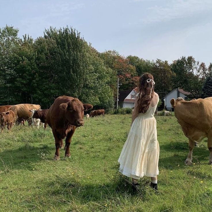 a woman in a white dress standing next to brown cows on a lush green field