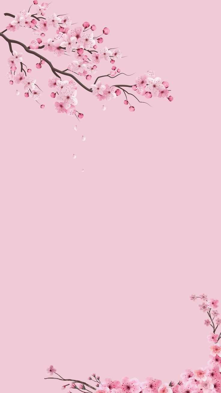 a pink background with flowers and branches