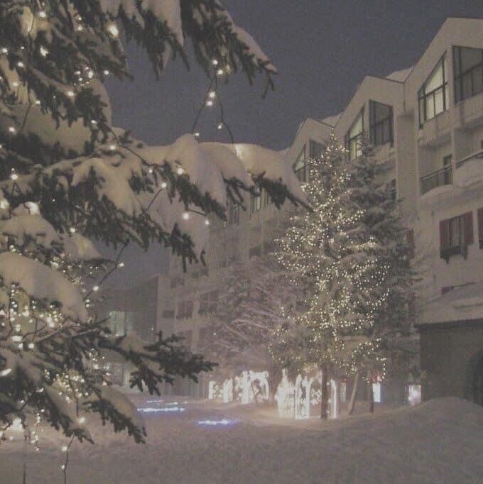 snow covered trees and buildings at night with lights on the tree in front of them