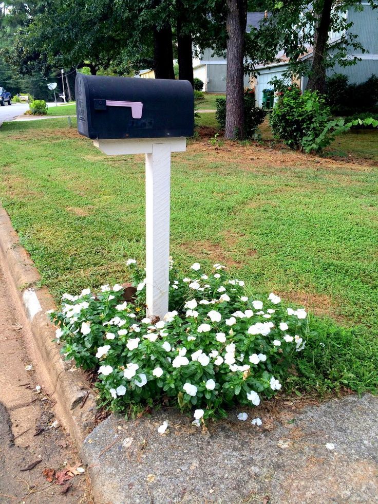 a mailbox sitting in the middle of a flower bed next to a sidewalk and trees