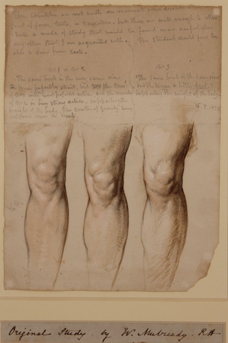 three drawings of men's butts on paper with writing in the bottom right corner