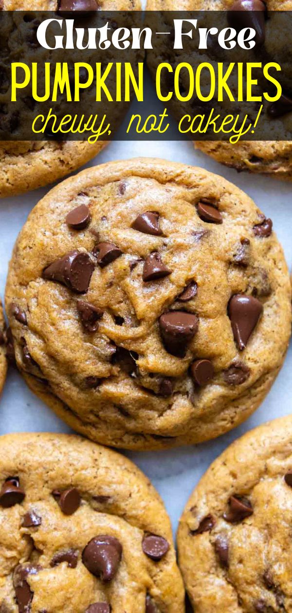 gluten free pumpkin cookies with chocolate chips on top and the title above reads, gluten free pumpkin cookies chewy, not cakey