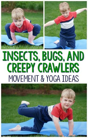 a little boy doing yoga on a blue mat with the words insects, bugs and creepy crawlers movement & yoga ideas