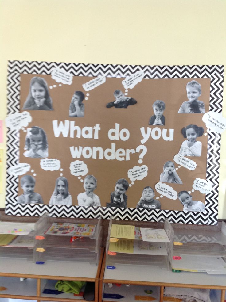 a bulletin board with pictures and words on it that says what do you wonder?