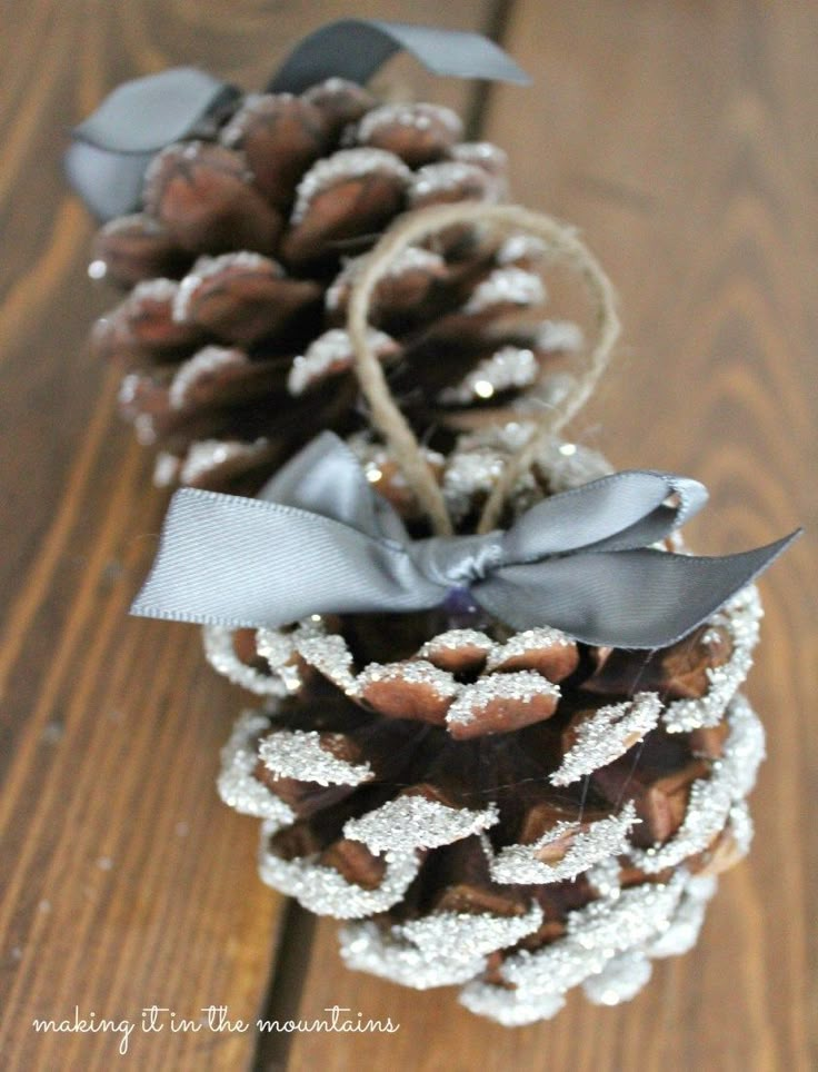 two pine cones are decorated with silver ribbon