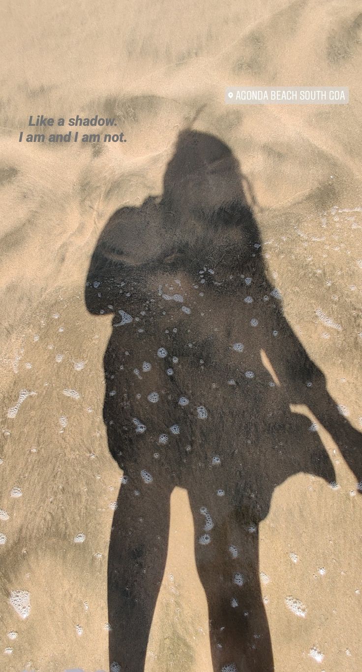 the shadow of a person standing in the sand with their hand on her hippo's back