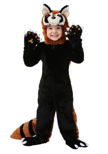 a little boy in a costume that has a raccoon on it's chest