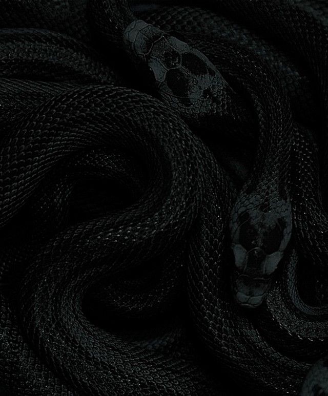 a black and white photo of a snake's head in the middle of it