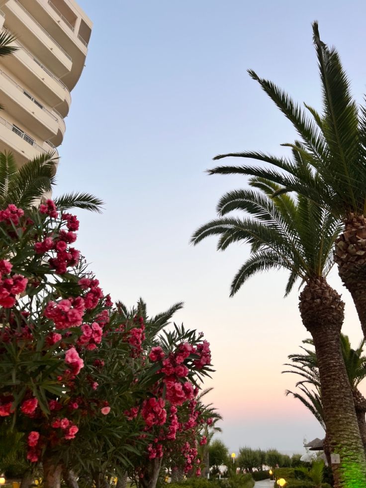 palm trees and pink flowers in front of an apartment building