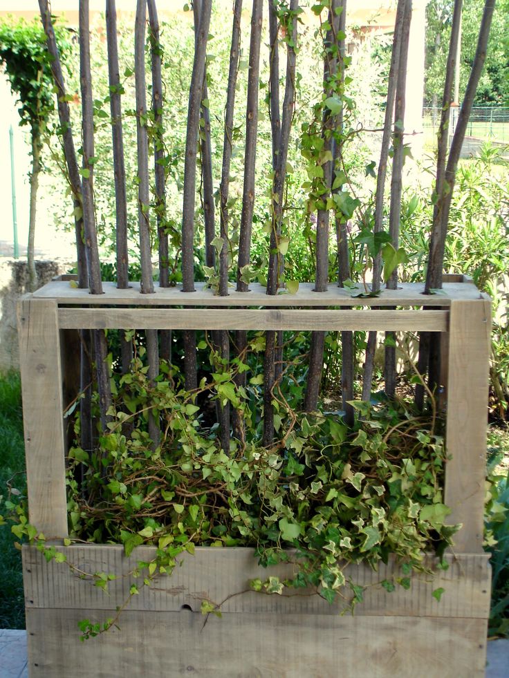 a wooden box with plants growing in it