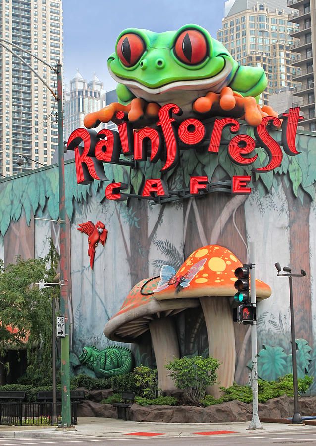 the entrance to rainforest cafe with a giant frog on it's head and an orange mushroom