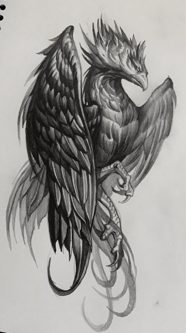 a drawing of a bird with wings on it's back, and the tail is spread