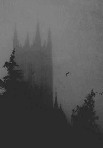 a black and white photo of a castle in the fog with birds flying over it