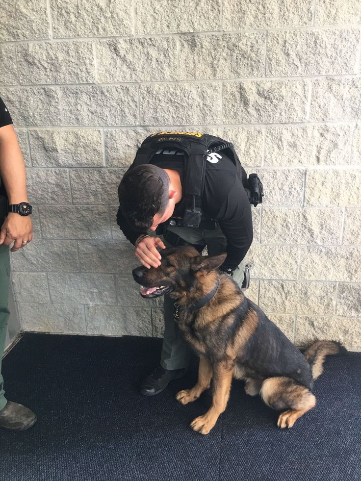 a police officer petting a dog on the nose