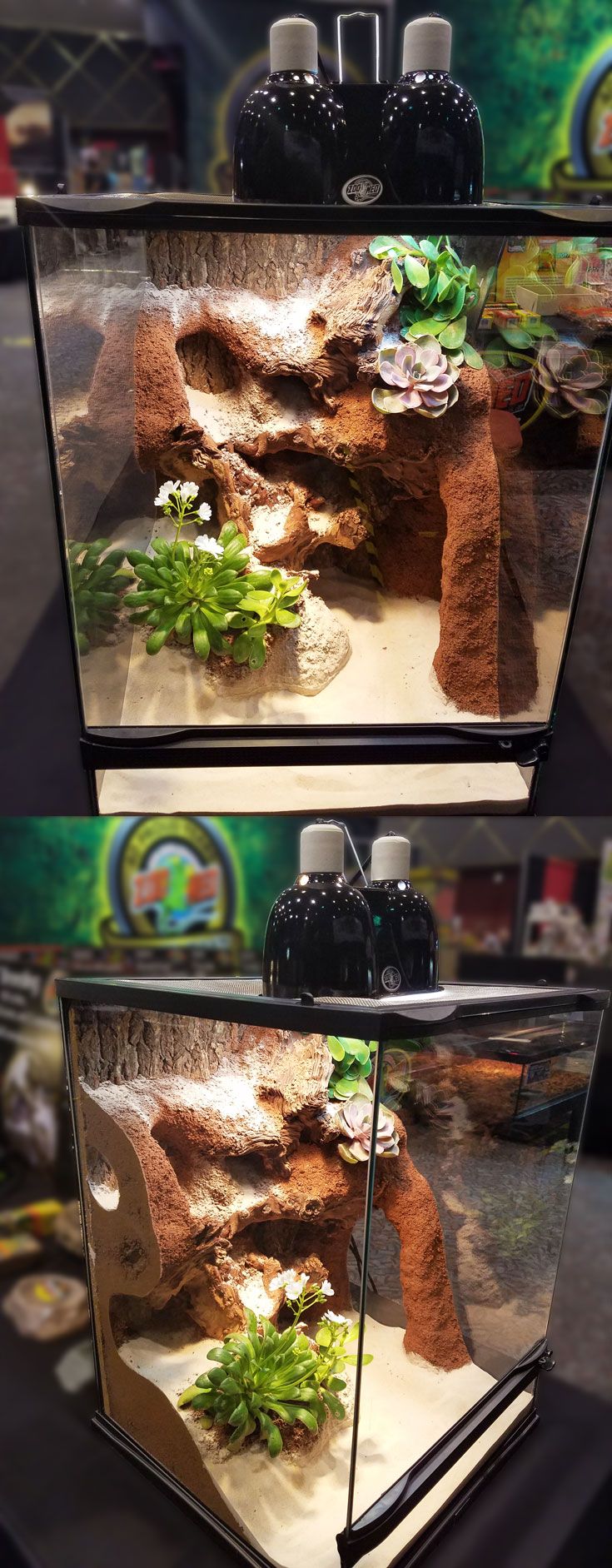 two different views of a fish tank with plants in it