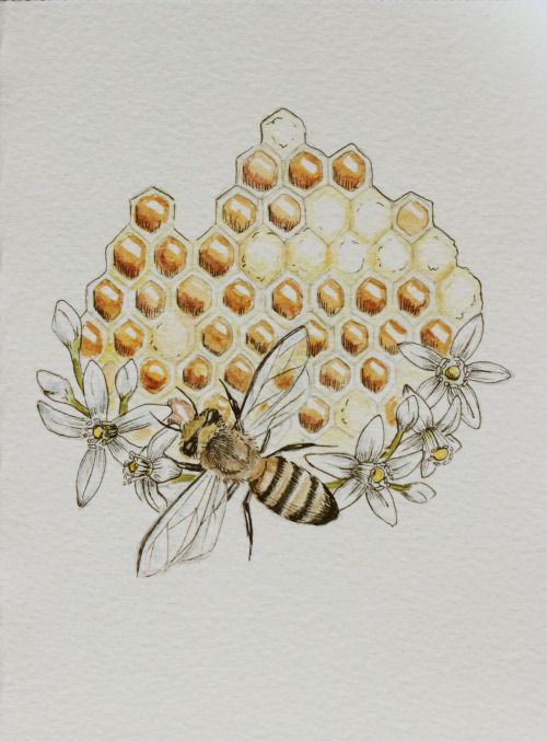 an image of a bee with honeycombs on it