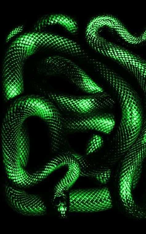 a green snake glowing in the dark