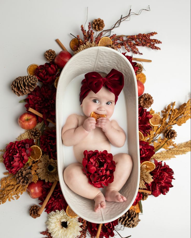 a baby is sitting in a bowl with red flowers and pine cones on the side