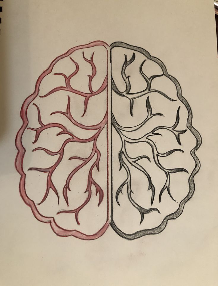 a drawing of two halves of the same brain