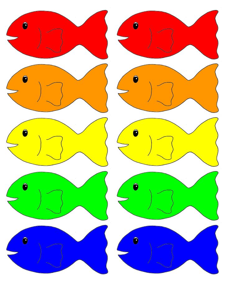 a group of fish with different colors in the same pattern on each side, all facing opposite directions