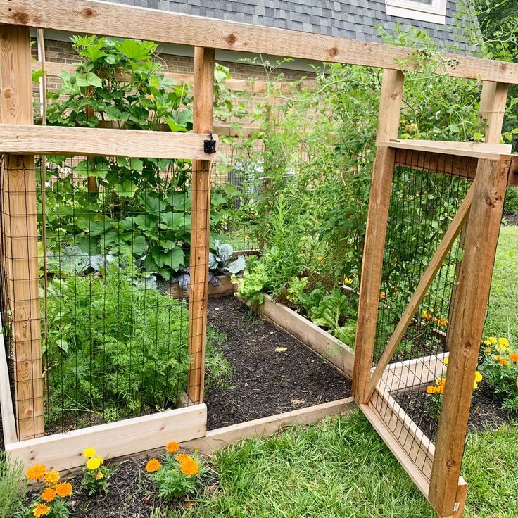 an outdoor garden with various plants growing in it