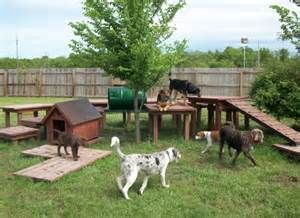 several dogs are walking around in the yard