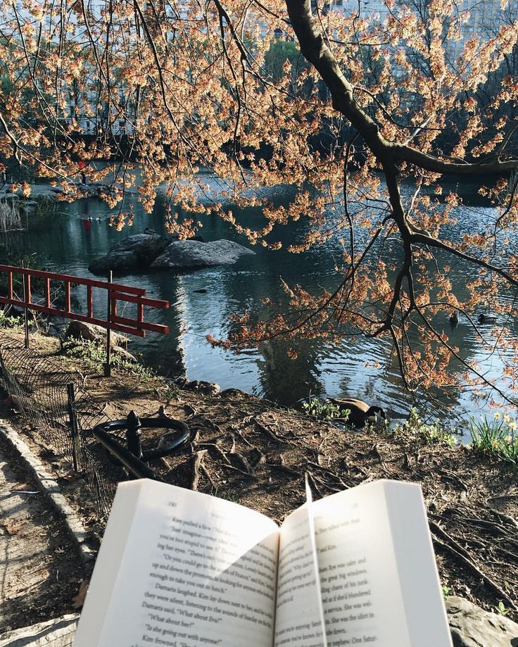 an open book sitting on top of a wooden bench next to a river and bridge