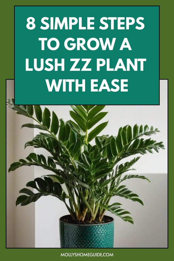 a potted plant with the words 8 simple steps to grow a lush zz plant with ease