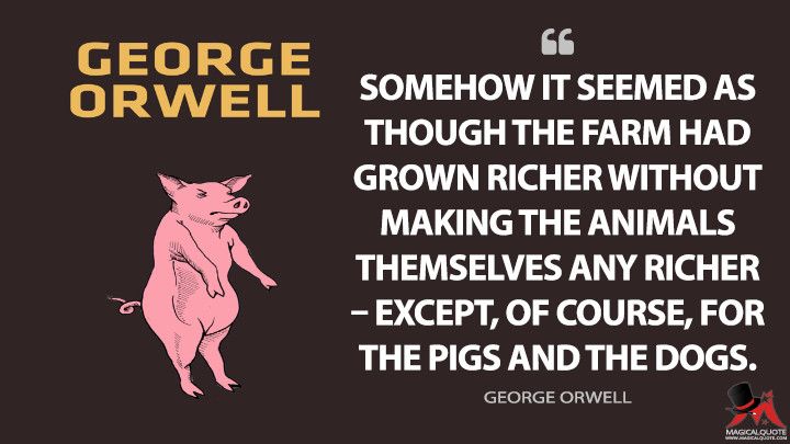 george orwell's quote about farm animals and the pigs in the field, with an image of a pig