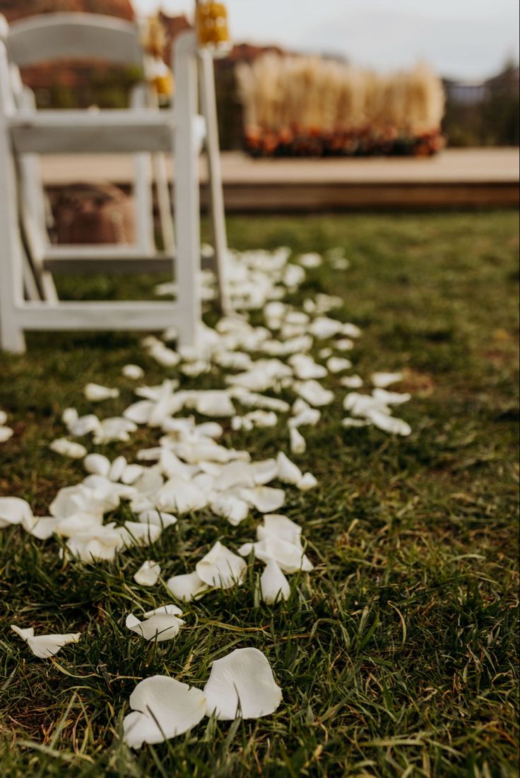 white petals on the ground at a wedding ceremony with chairs in the background and flowers scattered all over the grass