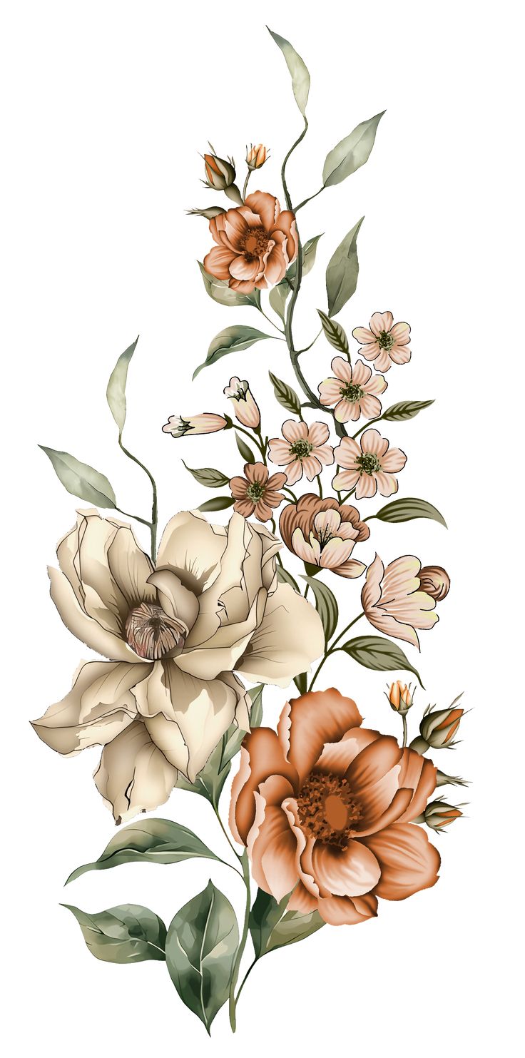 an image of flowers on a white background