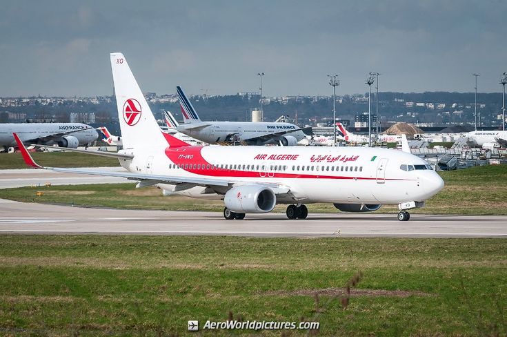 several airplanes are parked on the tarmac at an air port run way in front of other planes