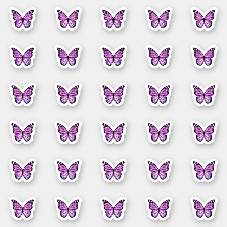 many purple butterflies are shown on a white background