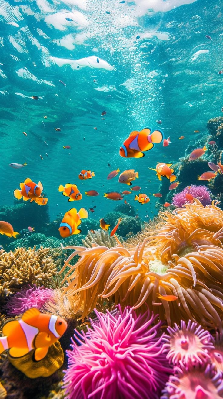 an underwater scene with clown fish and sea anemone